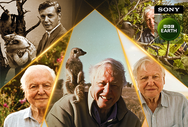 Century of Wonder - ,        